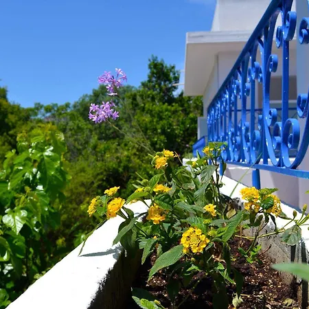 Hotel Effies Dreams Studio Rhodes City
